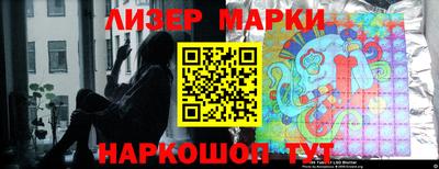 стаф Донской