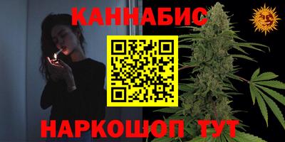 стаф Донской