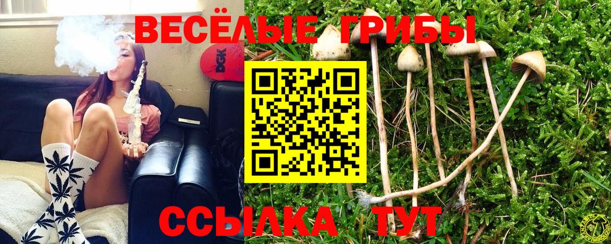 Галлюциногенные грибы прущие грибы  Вход с VPN  Кудымкар 
